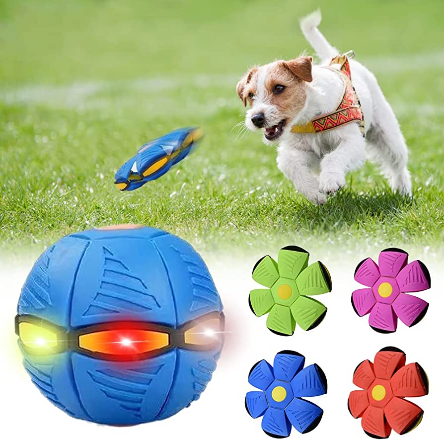 Paws & Claws Dog Frisbee
