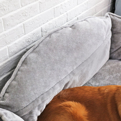 Paws & Claws™ Dog Bed: