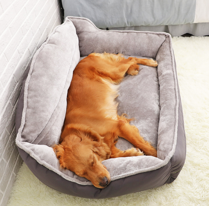 Paws & Claws™ Dog Bed: