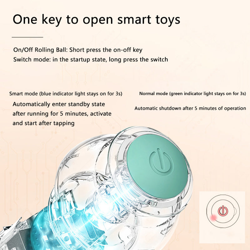 Paws & Claws Interactive Ball