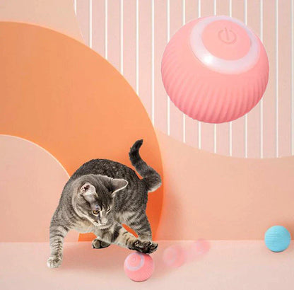 Paws & Claws Interactive Ball
