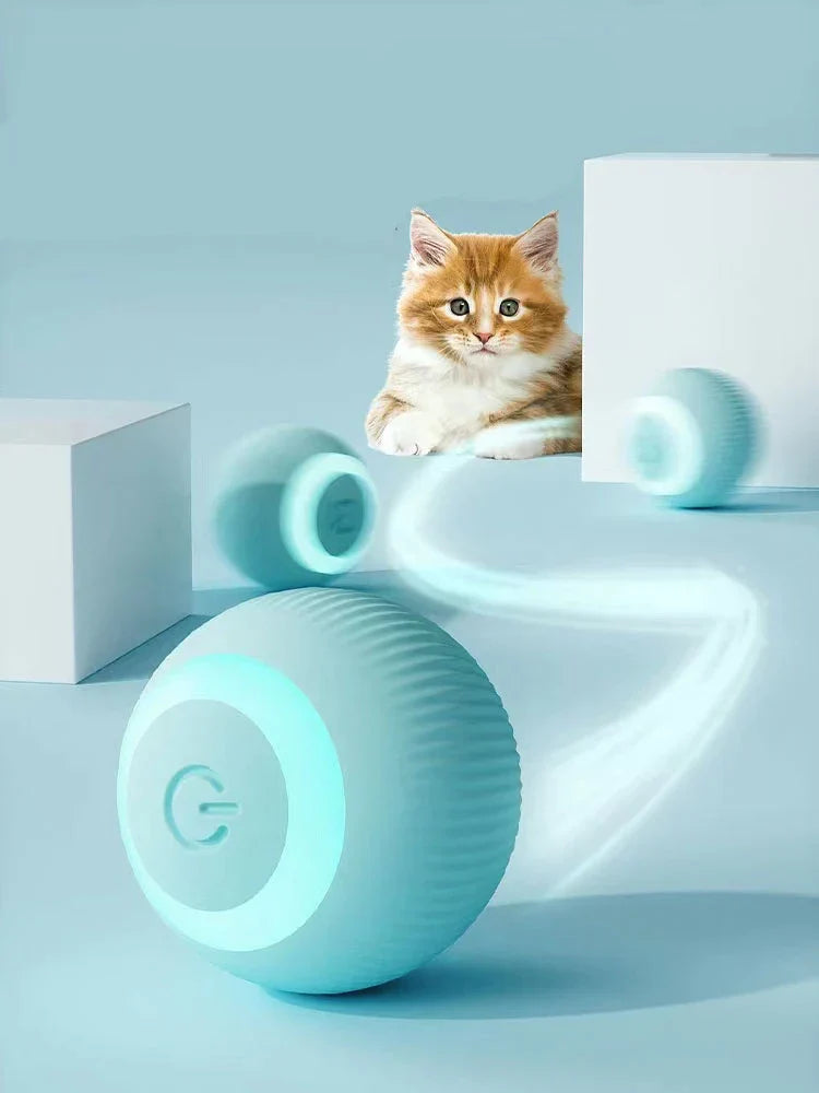 Paws & Claws Interactive Ball