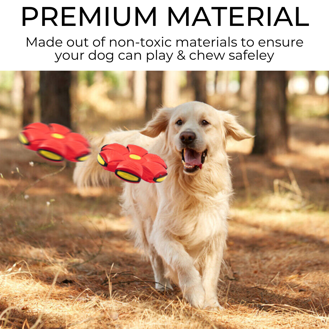 Paws & Claws Dog Frisbee