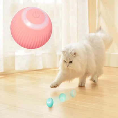 Paws & Claws Interactive Ball