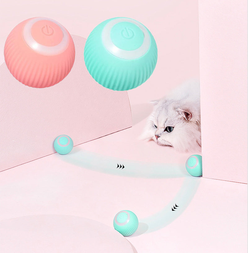 Paws & Claws Interactive Ball